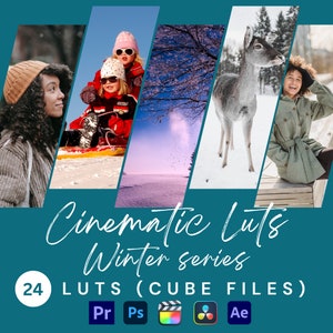 Pacchetto Cinematic Winter Luts / 24 LUT / Pacchetto 24 LUT di alta qualità per film di color grading, effetti fantastici, preimpostazioni video, migliori lut al chiaro di luna