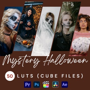 Halloween LUTs Bundle Pack-Professional Video LUTs for color grading, color presets for editing video footage, video editors, professionals