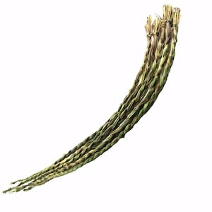 1 Sweetgrass Braid 18-24&quot; Hierochloe Odorata Smudge Premium Quality Home Grown