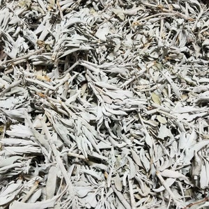 California White Sage Smudge Loose Cluster Incense Bulk (1 pound)