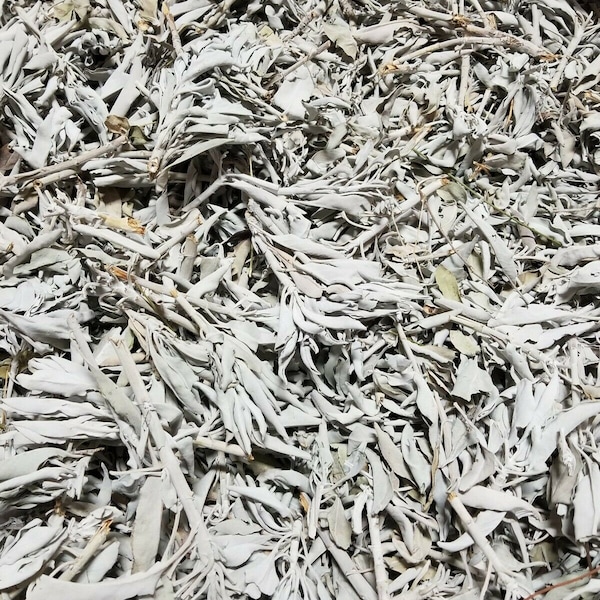 California White Sage Smudge Loose Cluster Incense Bulk (1 pound)
