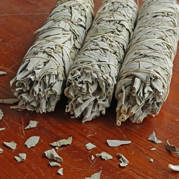 Two 8-9" Large Jumbo White Sage Smudge Stick