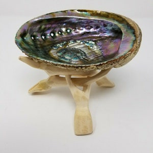 May include: An iridescent abalone shell, showcasing a spectrum of colors including purple, green, and blue, is displayed on a light-colored, carved wooden stand. The shell's interior has a pearlescent sheen, and the stand has a tripod design.