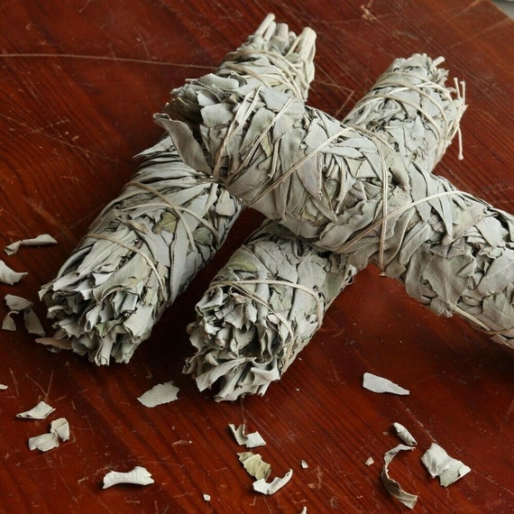 thumbnail image 2 of Lot Of 100 White Sage Smudge Sticks – 4-5 Inch Wands For House Cleansing & Negativity Removal – Wicca & Paganism 2 of 4