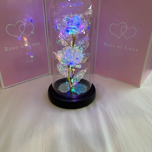 Galaxy Rose in glass dome with multi color LED lights!