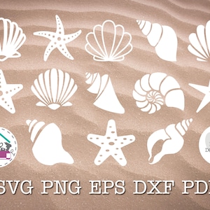 Può includere: Disegni bianchi di conchiglie e stelle marine su sfondo sabbioso. L'immagine presenta varie forme di conchiglie e stelle marine, perfette per lavori a tema spiaggia. Include un'icona di download digitale e il testo "SVG PNG EPS DXF PDF".