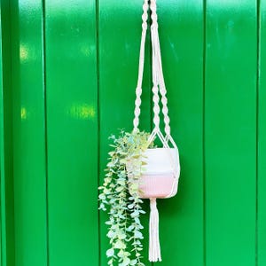 May include: A cream-coloured macrame plant hanger holding a white and pink plant pot. The pot contains a green leafy plant. The background is a bright green painted wooden surface.