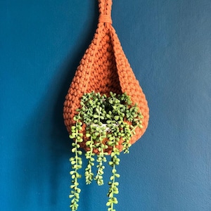 May include: A terracotta-colored crocheted hanging planter with a green succulent plant inside. The planter is hanging from a blue wall.