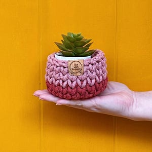 May include: A crocheted plant pot in pink and red, holding a small succulent plant. The pot features a wooden tag with the text "The Left Hookery". The pot is held in a hand against a yellow background.