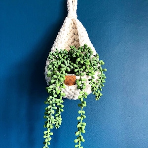 May include: A white crocheted hanging planter with a green succulent plant inside. The planter has a brown leather tag with the text "The Loft Treasury" on it.