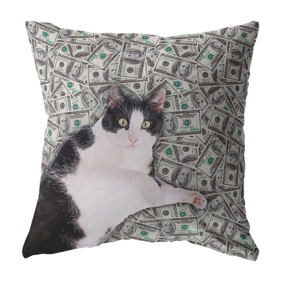Money Cat Throw Pillow Pillow Cover Pillowcase Funny Cat Etsy