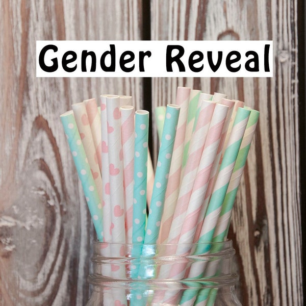 Gender Reveal Paper Straw Mix