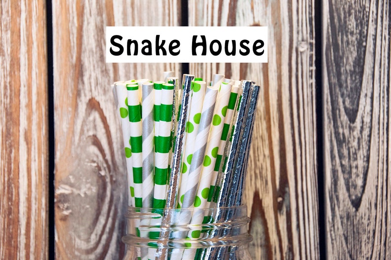 Straws Green Rugby Stripes Solid Metallic Silver Birthday Silver Stripes Snake House Paper Straw Mix Green Polka Dots Baby Shower