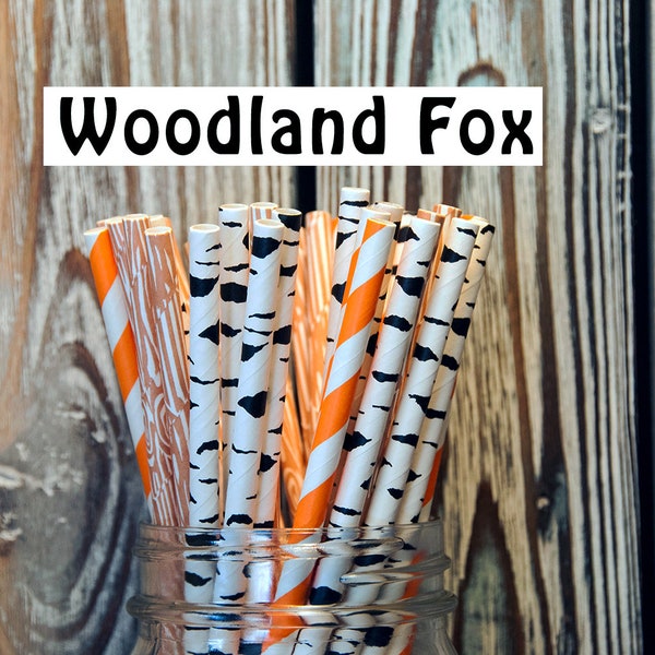 Woodland Fox Paper Straw Mix