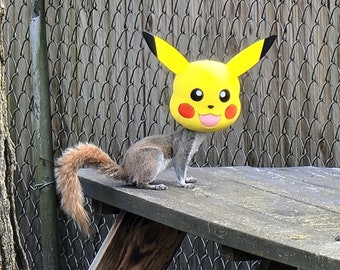 Pikachu Squirrel Feeder!!!