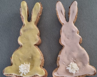 Spring bunnies. Chicken flavour Easter biscuits. Iced dog treats. Easter dog treats.