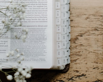 MINI Catholic Minimalist Bible Tabs | Vellum | Beautiful, Simple Cute Vellum Index Stickers | Journaling Supplies | Neutral, Boho | Adhesive