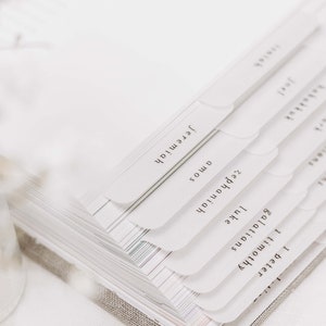 Minimalist Bible Tabs | Vellum | Beautiful, Simple & Cute Vellum Index Stickers | Journaling Supplies | Neutral, Boho | Adhesive