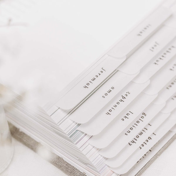 Minimalist Bible Tabs | Vellum | Beautiful, Simple & Cute Vellum Index Stickers | Journaling Supplies | Neutral, Boho | Adhesive