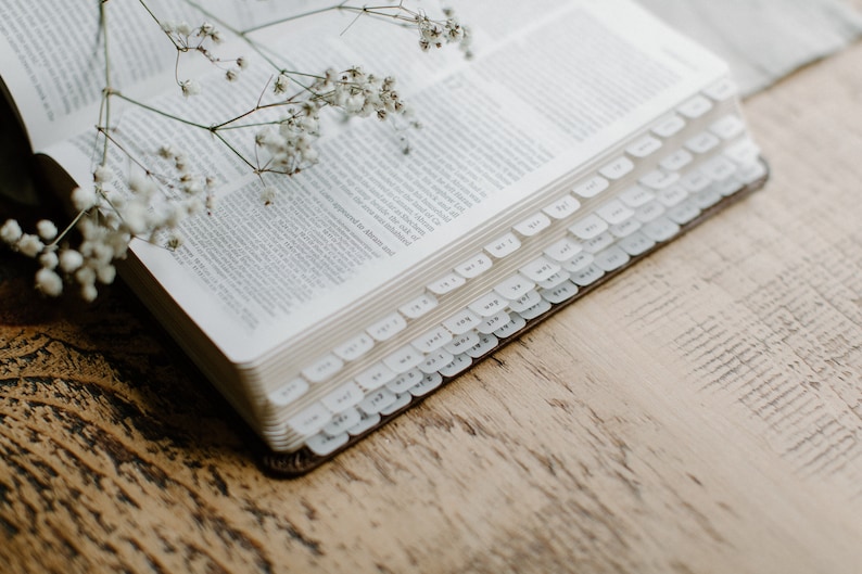 May include: A white, open book with white tabs on the side. The book is lying on a wooden surface with a sprig of white flowers on top.