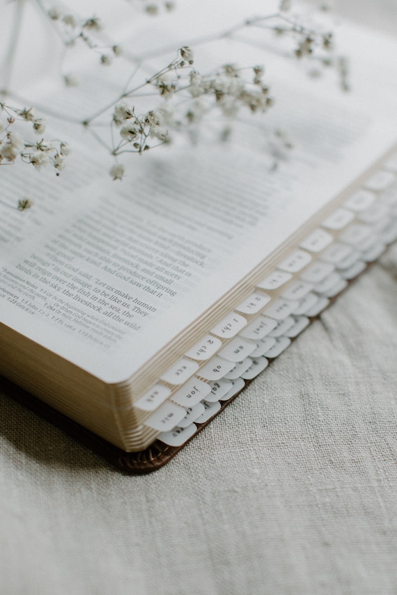 MINI Minimalist Bible Tabs | Vellum | Beautiful, Simple & Cute Vellum Index Stickers | Journaling Supplies | Neutral, Boho | Adhesive