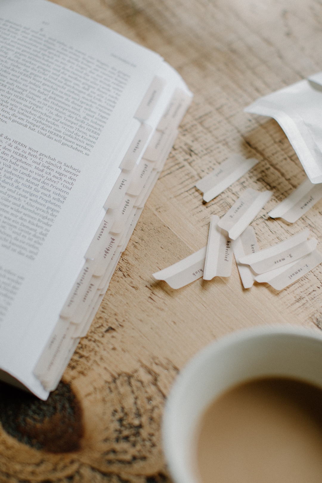 GERMAN/DEUTSCH Minimalist Bible Tabs Vellum Beautiful & Simple Vellum