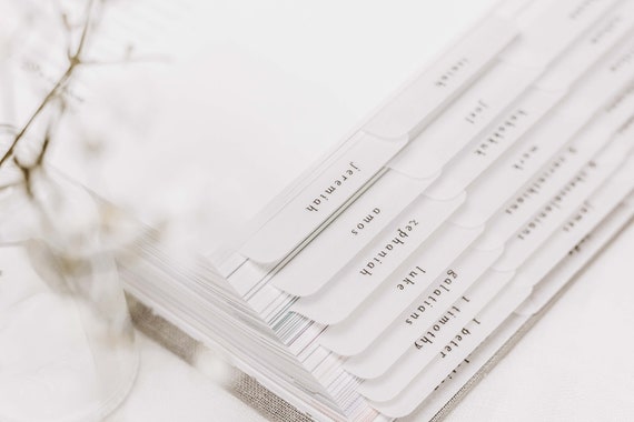 Minimalist Bible Tabs | Vellum | Beautiful, Simple & Cute Vellum Index Stickers | Journaling Supplies | Neutral, Boho | Adhesive