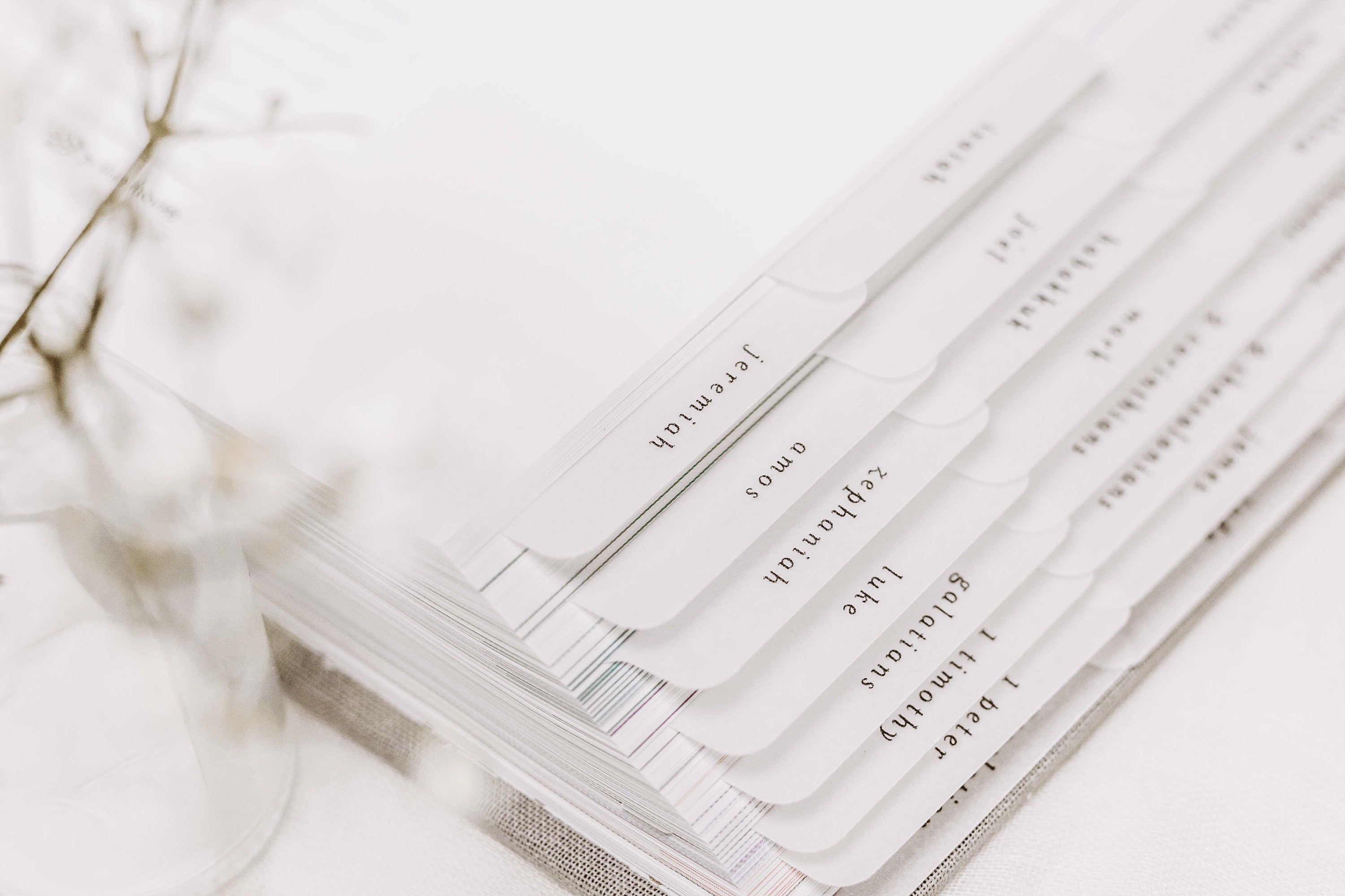 Minimalist Bible Tabs | Vellum | Beautiful, Simple & Cute Index Tab Stickers | Journaling Supplies | Neutral, Boho | Adhesive