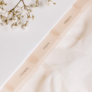 Minimalist 'Special Occasions' Planner Tab Set | Vellum | Beautiful, Simple, Cute Divider Tab Stickers | Translucent Planner Set | Adhesive