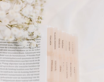 DUTCH/NEDERLANDSE Bijbeltab Stickers | Minimalist | Velijn Papier | Beautiful, Simple & Cute Vellum Index Stickers | Journaling Supplies
