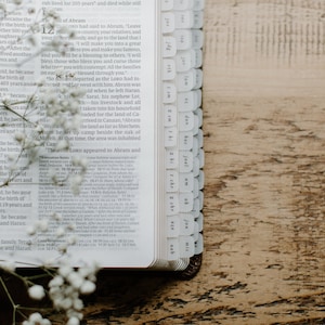 May include: An open Bible with white flowers on top of the pages. The Bible has tabs for each book of the Bible. The pages are open to the book of Genesis.