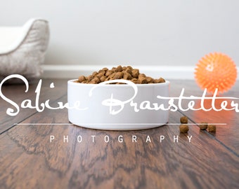 Download Pet Bowl Mockup Etsy
