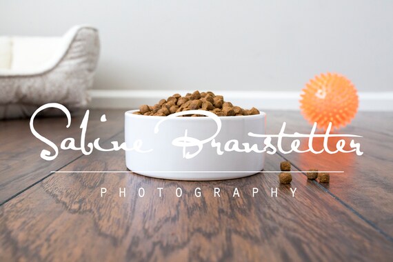 Styled Stock Photography Fluffy Mockup File White Pet Bowl Styled Stock Photography Fluffy Mockup File White Pet Bowl