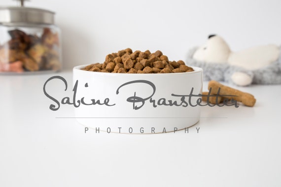 Styled Stock Photography Happy Pet Mockup File White Pet Styled Stock Photography Happy Pet Mockup File White Pet