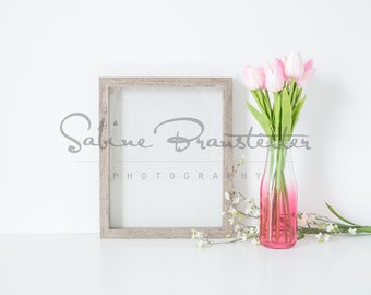 Download Free Styled Stock Photography