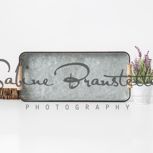 Styled Stock Photography "My Farm", Mockup-Digital File, Galvanized Tray, Farmhouse Style Mockup