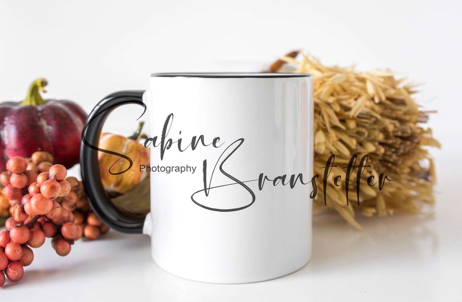 Styled Stock Photography Pumpkin Kisses | Etsy