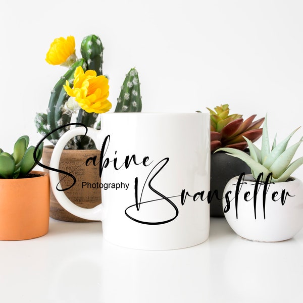 Styled Stock Photography "Prickly", Mockup-Digital File, 11oz White Coffee Mug With Succulents/Cacti Mockup