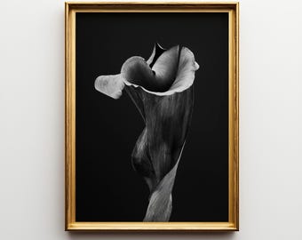 Schwarzweiß-Fotografie Druck