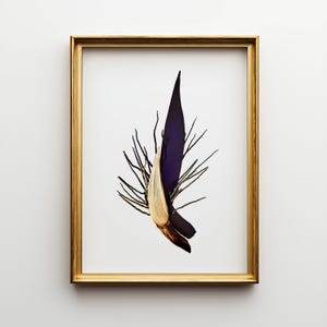 Shadow on Fire - Botanical Photo Print