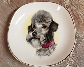 Royal Falcon Ware Hanley England grijsharige schnauzer/poedelschaal bord gemarkeerd 3/83