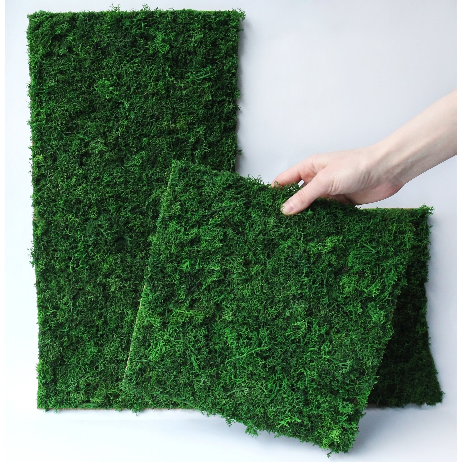 Moss panel Preserved moss wall backdrop Reindeer moss | Etsy