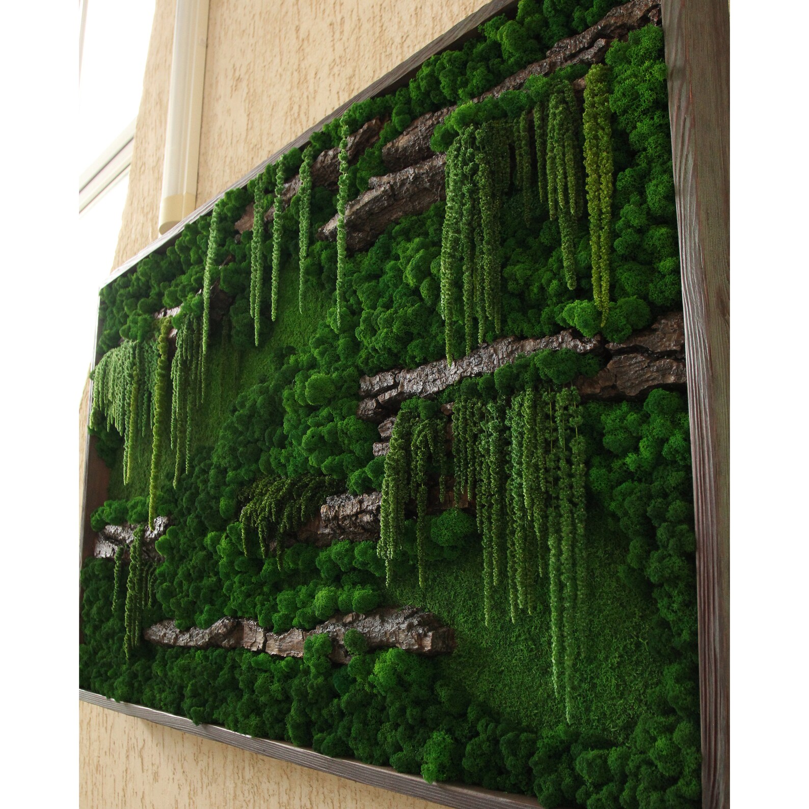 Moss wall art preserved moss hanging tropical jungle Etsy