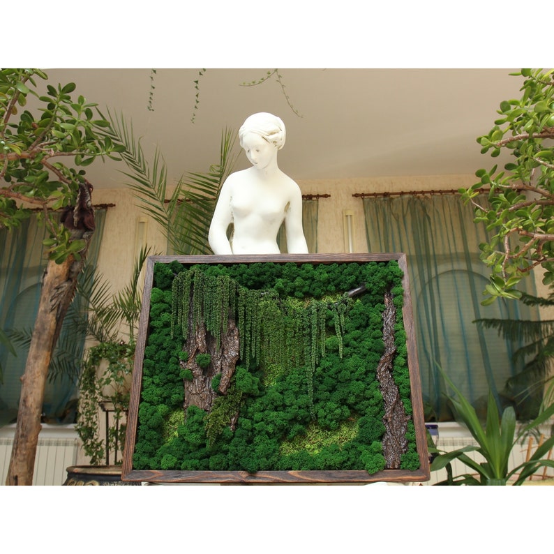 Hanging moss wall art indoor garden preserved reindeer moss | Etsy