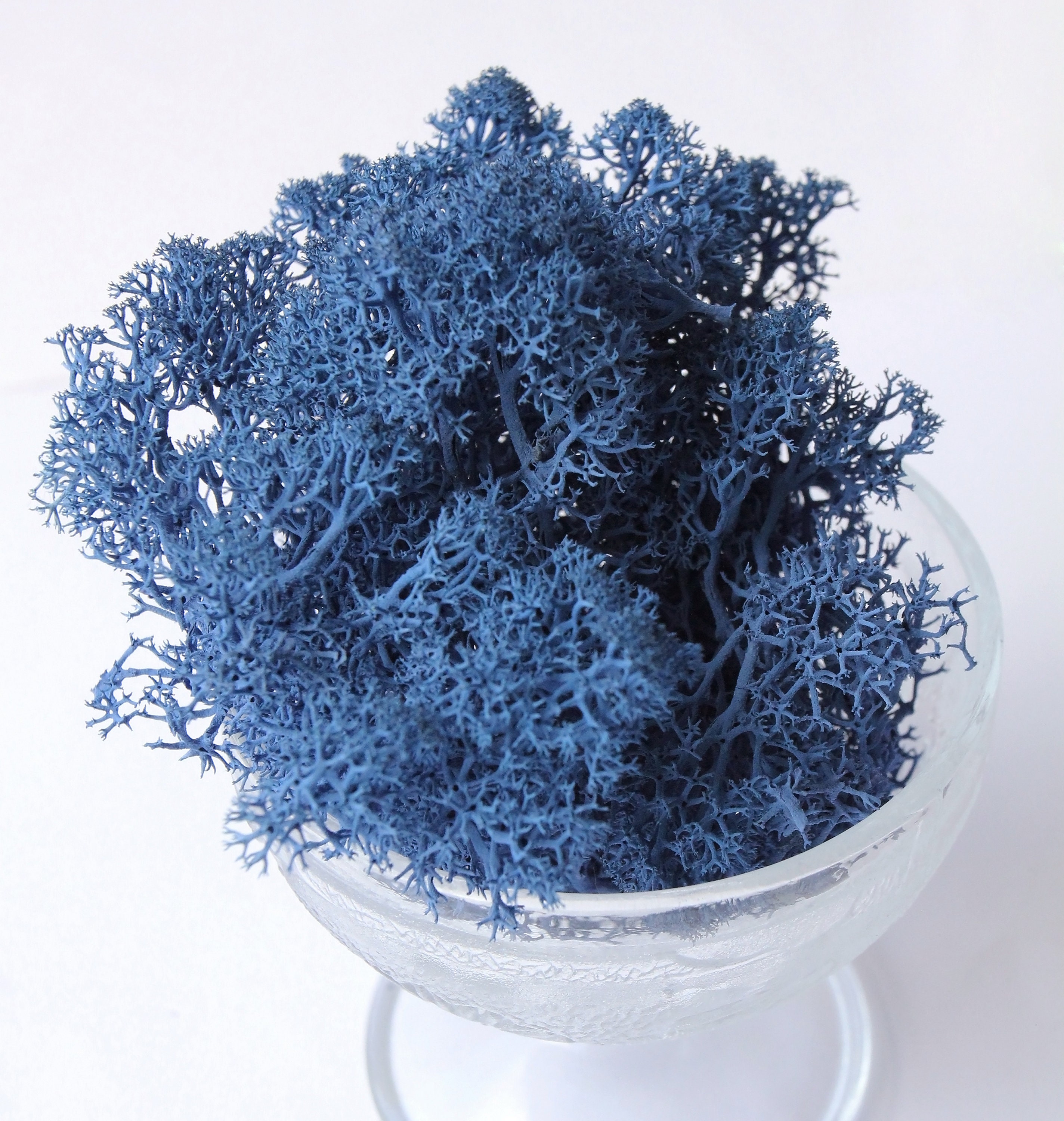 Mousse Préservée 240g - 6 Couleurs Vertes - Pour Décoration, Artisanat, Murs Végétaux - Noël