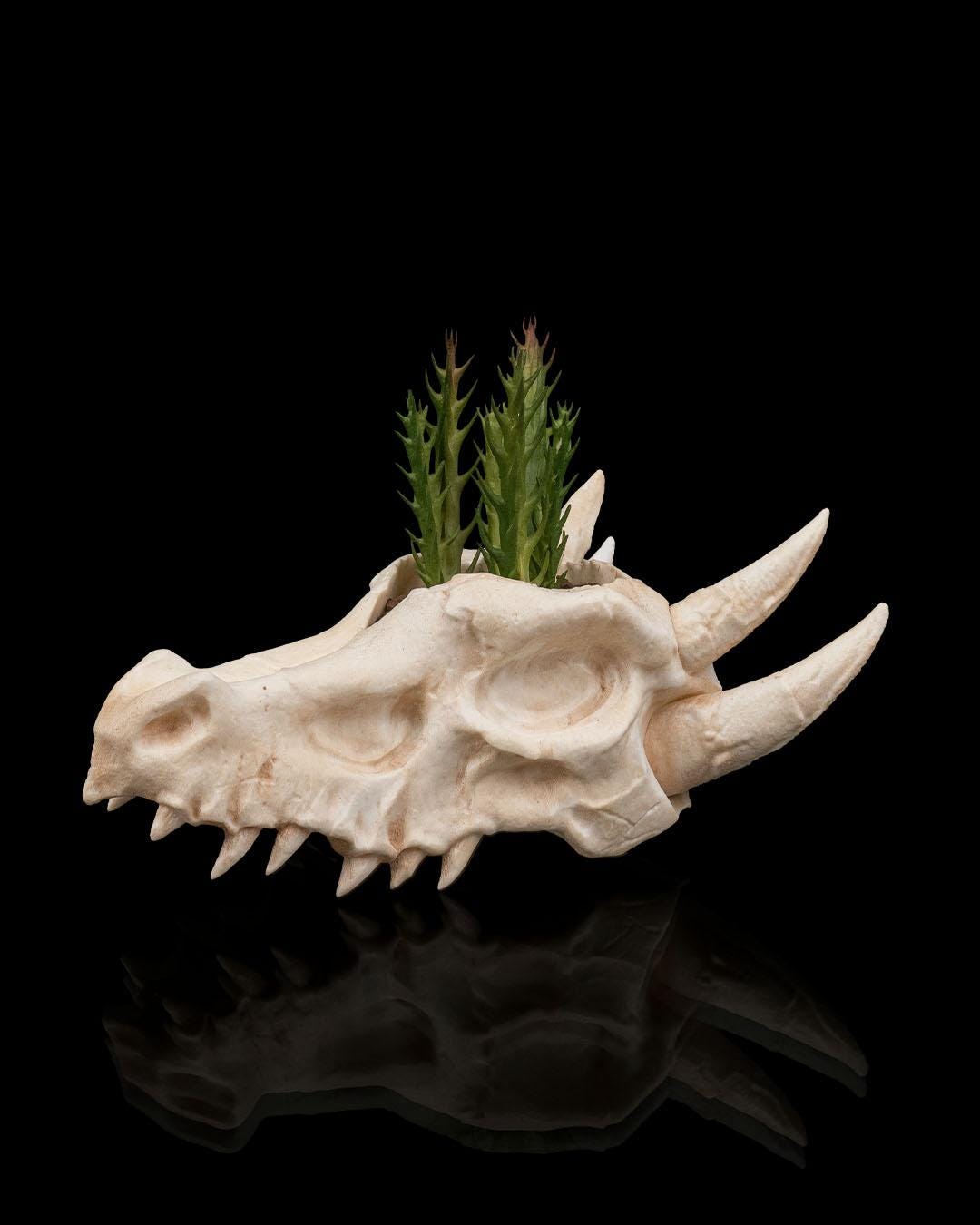 Death Root Sign Deathroot Fossil Planter - Etsy