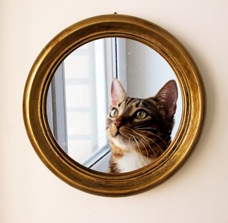 Round Mirror Decorative Wall Wood Frame Decor Gold Small Framed Mount