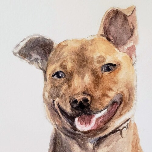 Custom Realistic Pet Portrait Watercolor, shops pet portrait, pet painting, watercolor dog, Dog Painting, Pet Memorial, painting from photo, pets