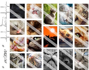 Cat Care Pet Sticker Collection - Photos, Hand Drawn Doodles and Clipart for your Planner Needs!