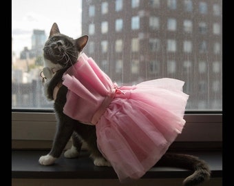 Pink Tutu Tulle Dress for dog cat. Designer Copy design of GiambattistaxH&M.